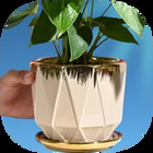 Ceramic Pots