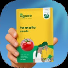 Vegetable Seeds