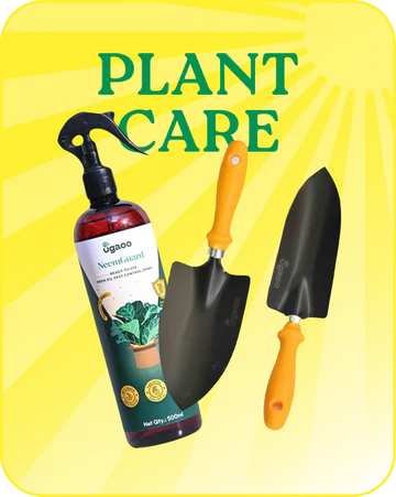 Plant_Care