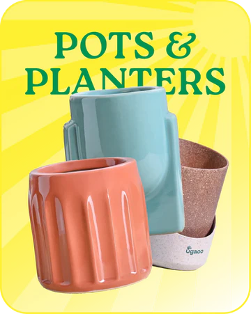 Pots_Planters