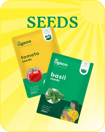 Seeds